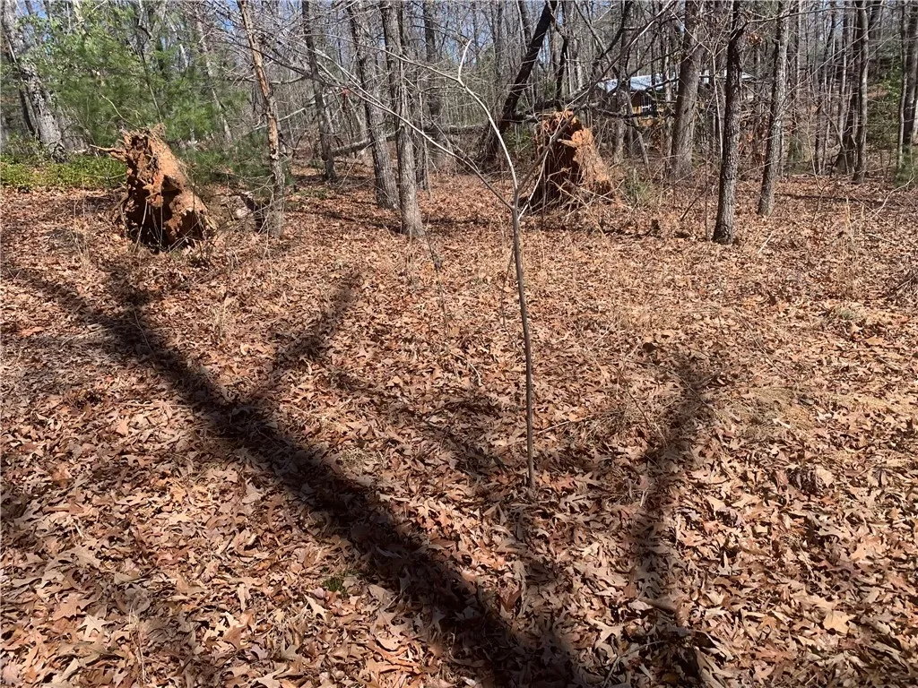 Property image 4 at 00 Bauknight Road, Mountain Rest, SC 29664