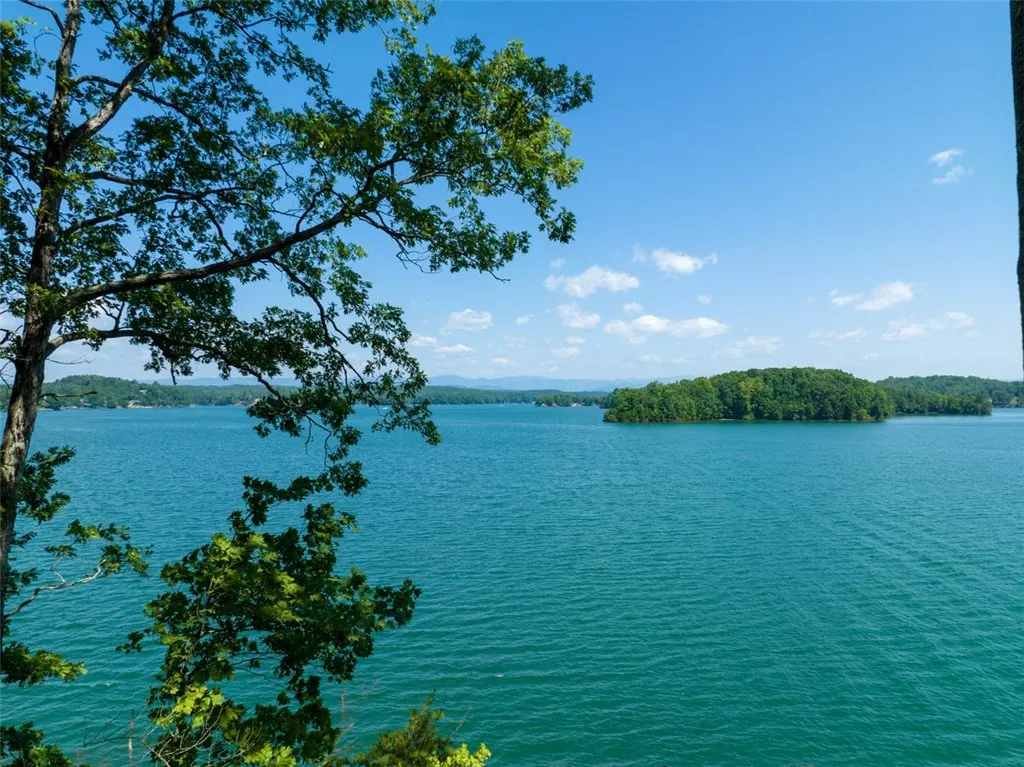 Property image 3 at 233 Sandy Hollow Court, Six Mile, SC 29682