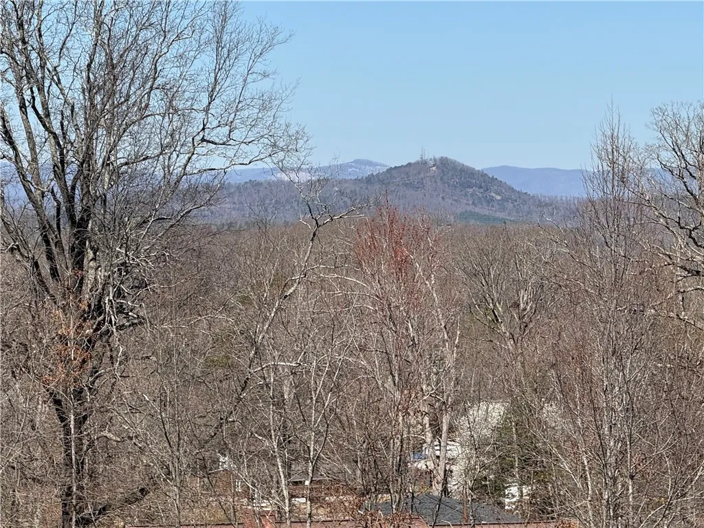 Property image 3 at 407 Mulberry Road, Easley, SC 29640