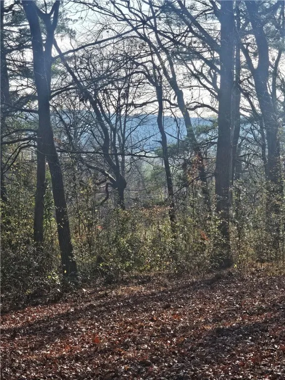 The Farm at Mills River, Mills River Community