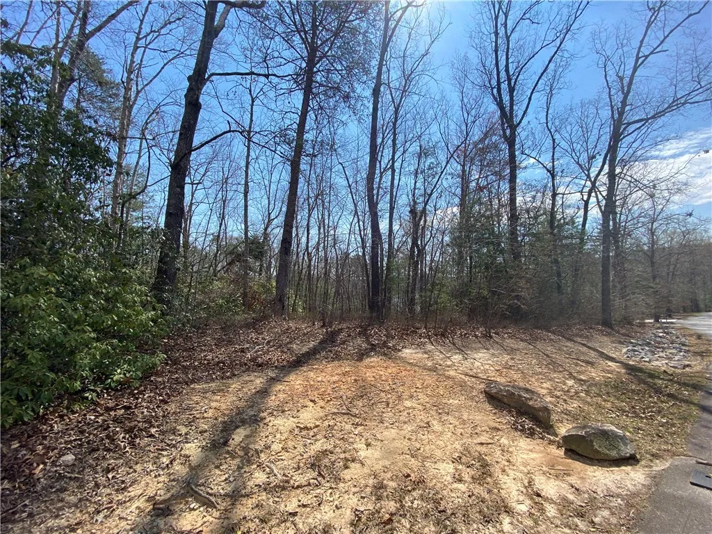 Lot 107 Fernwood Drive