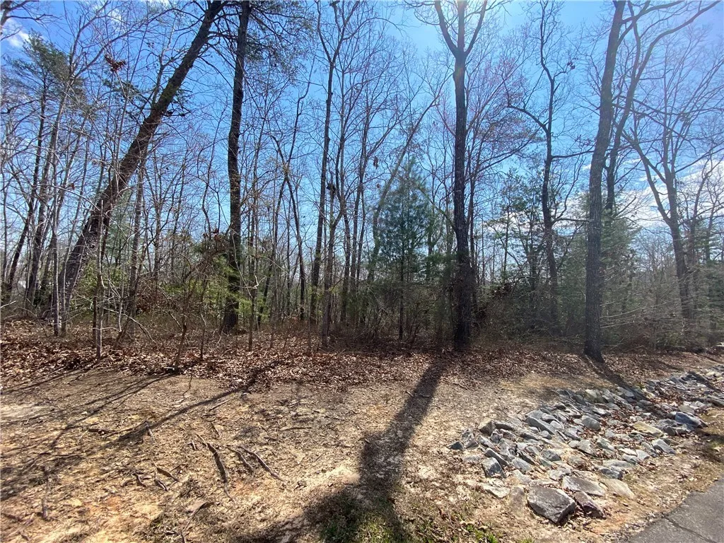 Property image 2 at Lot 107 Fernwood Drive, Salem, SC 29676