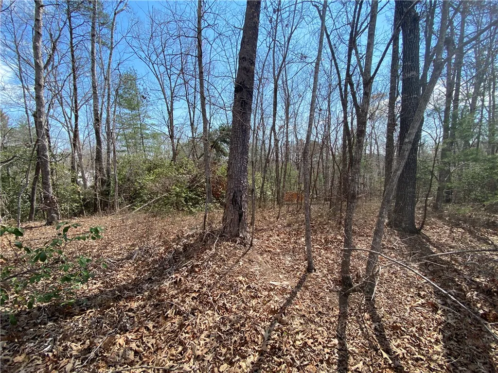 Property image 3 at Lot 107 Fernwood Drive, Salem, SC 29676