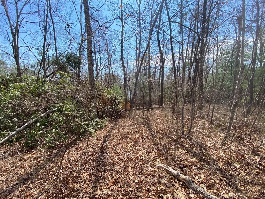 Property image 4 at Lot 107 Fernwood Drive, Salem, SC 29676
