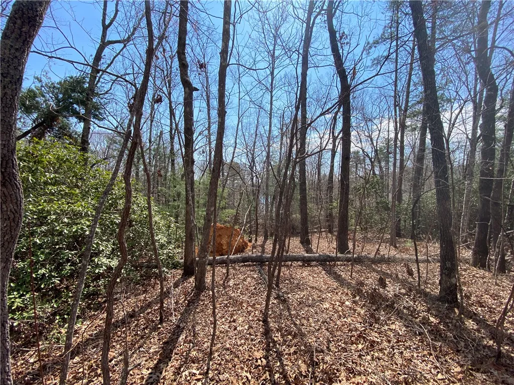 Property image 5 at Lot 107 Fernwood Drive, Salem, SC 29676