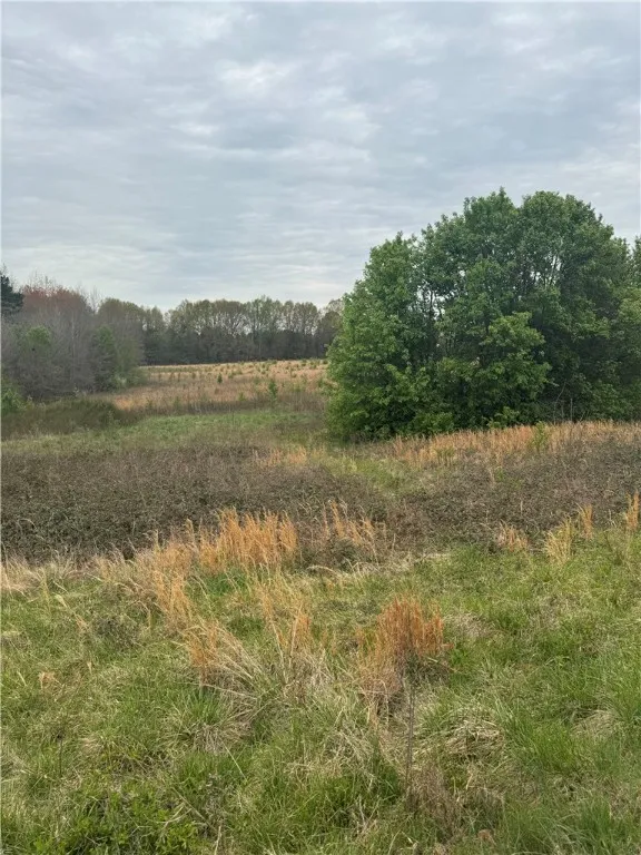 Lot 1 Hwy 17
