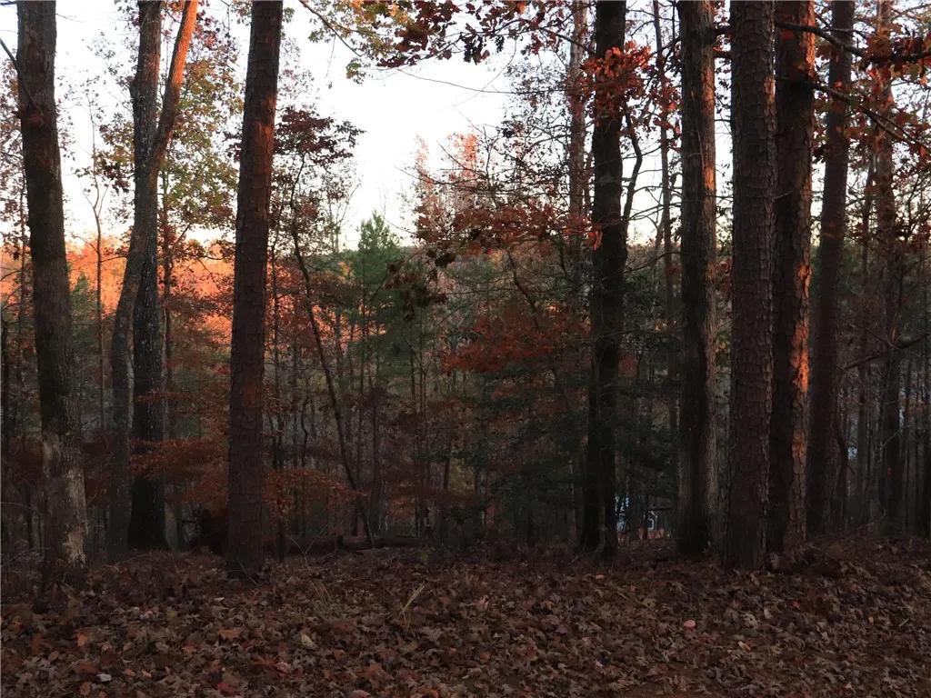 122 Summit Pine Drive