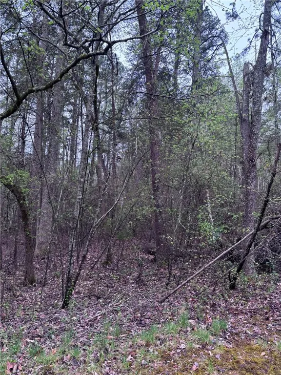 Property image 4 at 200 Eastlake Court, Seneca, SC 29672