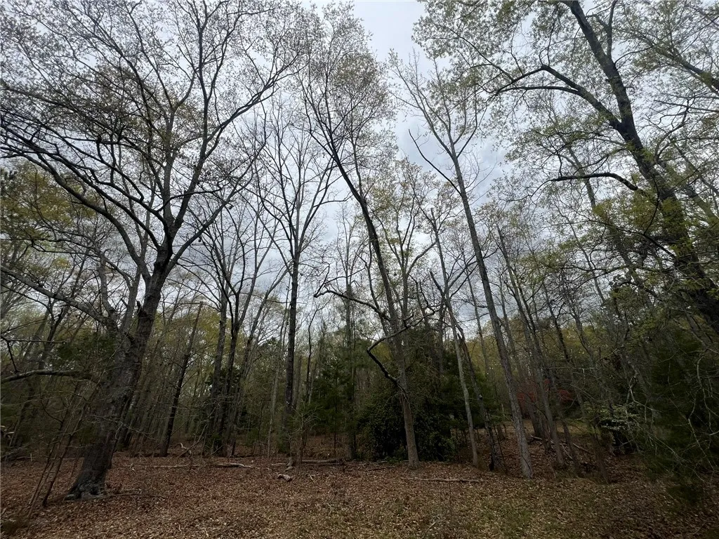 Property image 4 at Lots 5 6 Willow Place, Anderson, SC 29621