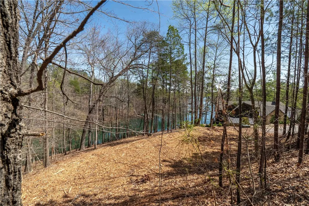 Property image 5 at Lot 34 Crystal Cove Trail, Salem, SC 29676