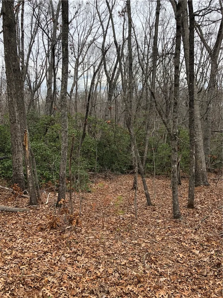 Property image 3 at 00 Eastview Drive, Pickens, SC 29671