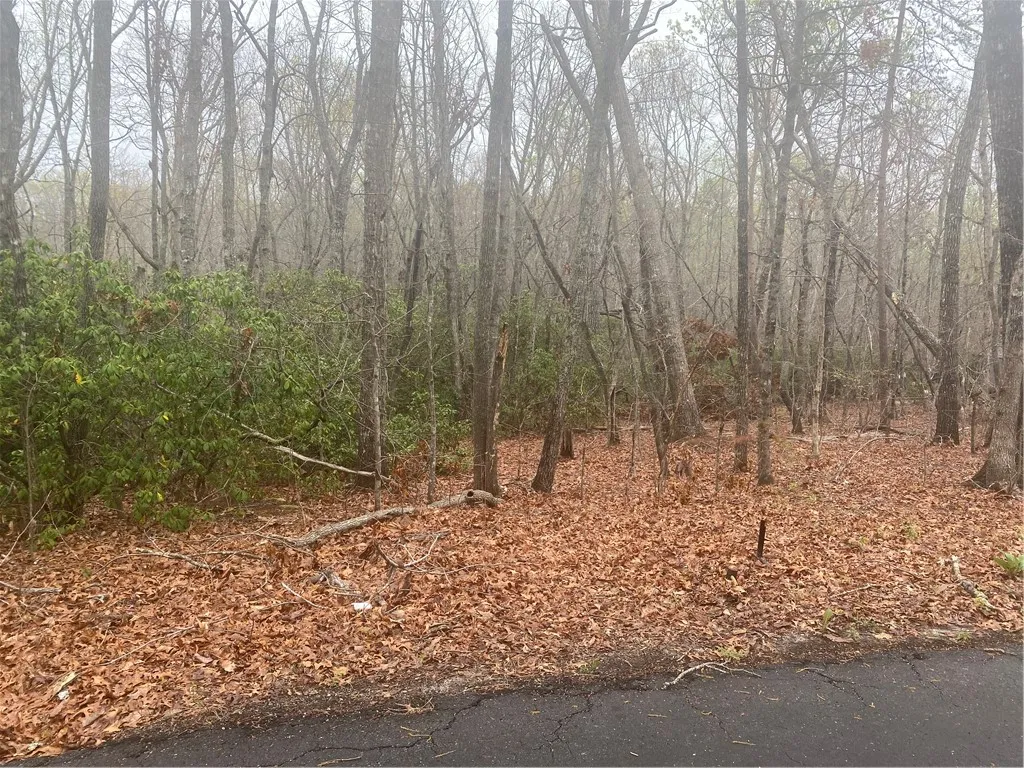 Property image 5 at 00 Eastview Drive, Pickens, SC 29671
