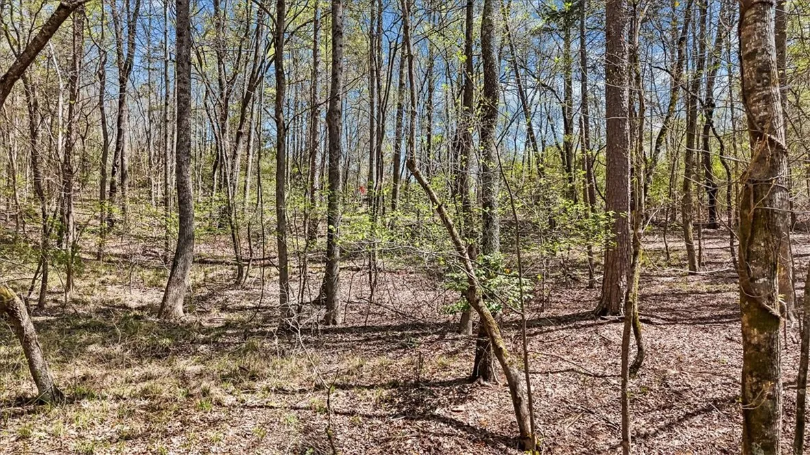 Property image 3 at 250 Meldau Road, Seneca, SC 29678