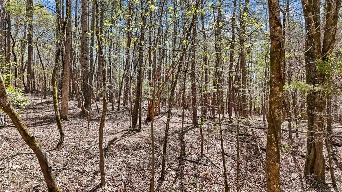 Property image 4 at 250 Meldau Road, Seneca, SC 29678