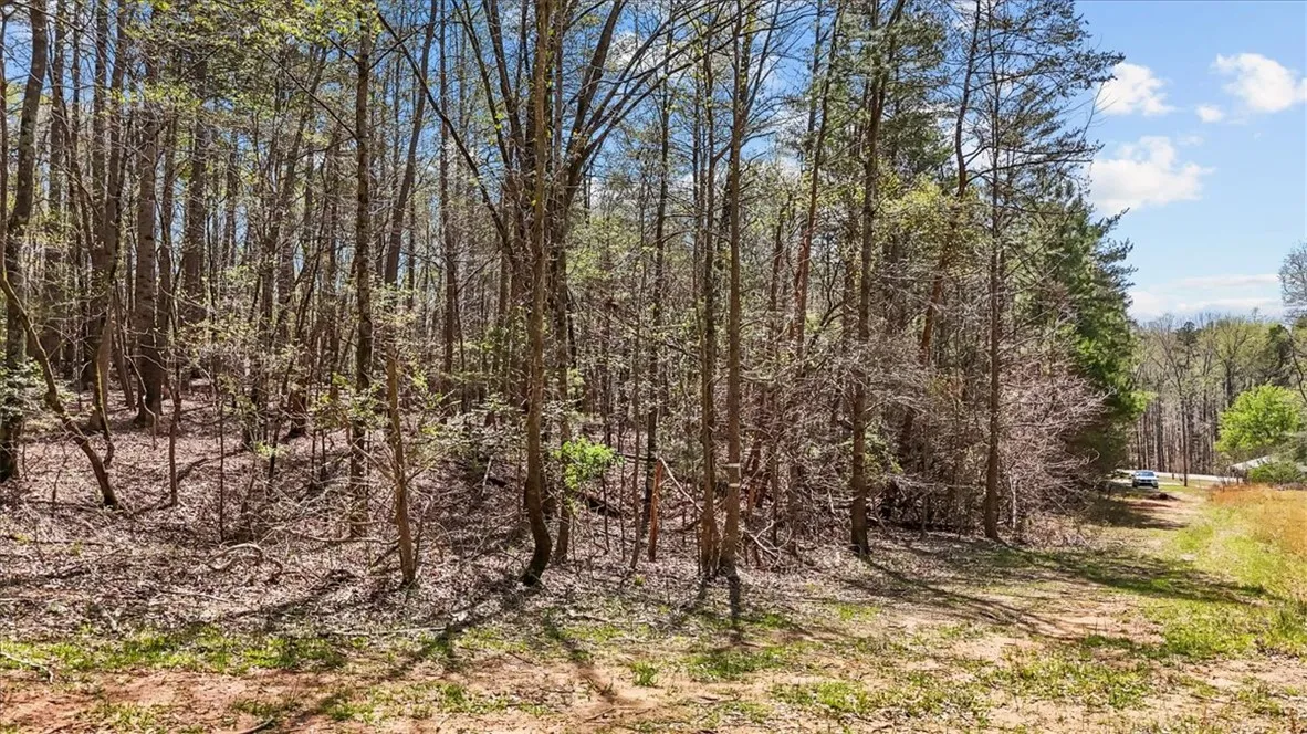 Property image 5 at 250 Meldau Road, Seneca, SC 29678
