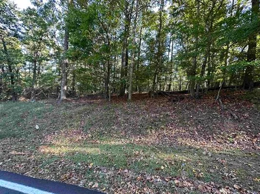 903 South Hogan Drive Road