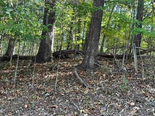 Property image 3 at 903 South Hogan Drive Road, Westminster, SC 29693