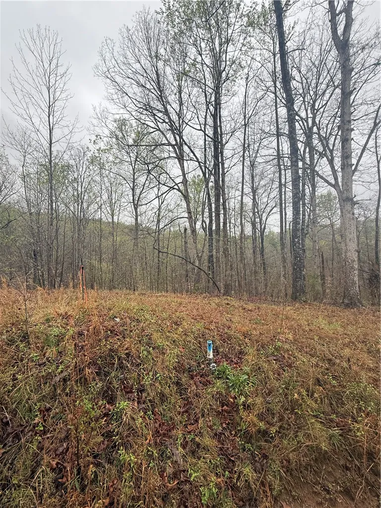 Property image 3 at 211 Westgate Drive, Westminster, SC 29693