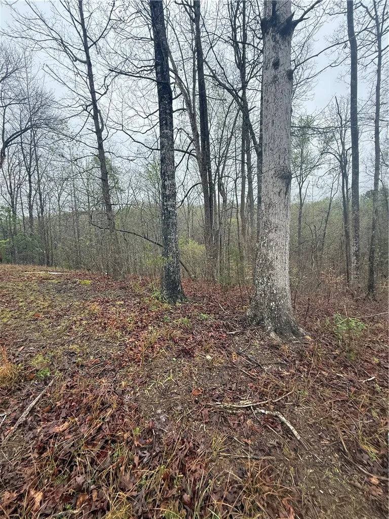 Property image 4 at 211 Westgate Drive, Westminster, SC 29693