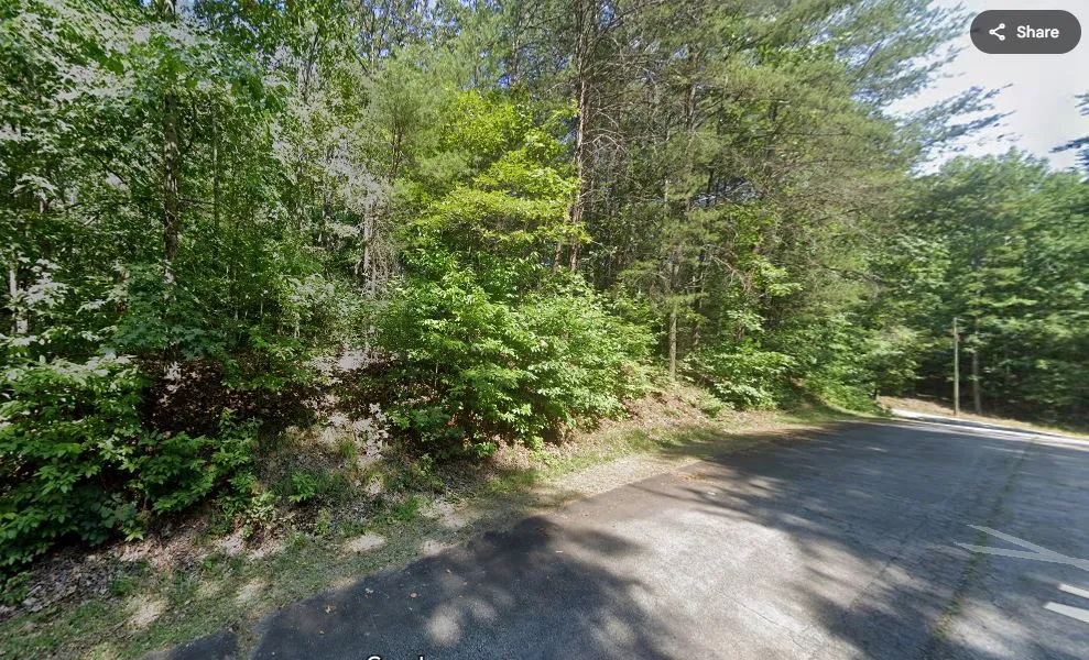 729 Norton Drive