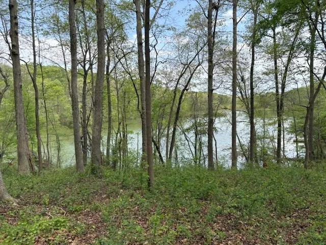 Property image 3 at 438 Arrowhead Lake Trail, Westminster, SC 29693