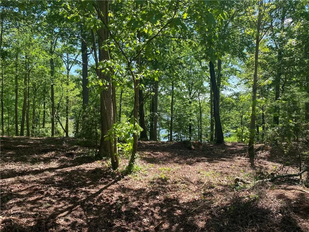 Property image 5 at 438 Arrowhead Lake Trail, Westminster, SC 29693