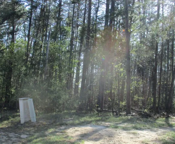 Property image 5 at 259 Jocassee Ridge Way, Salem, SC 29676