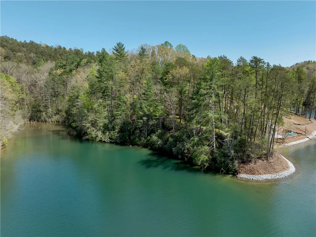 Property image 2 at Lot 3 Johnson Drive, Sunset, SC 29685