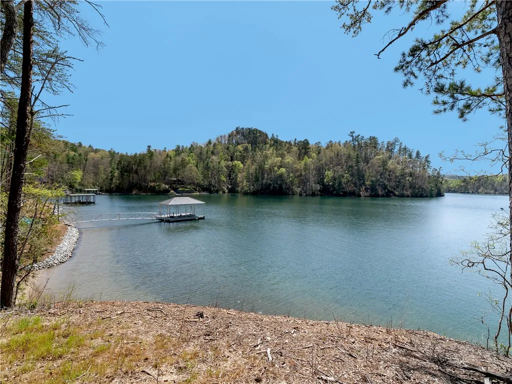 Property image 5 at Lot 2 And 3 Johnson Drive, Sunset, SC 29685