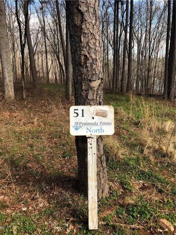 Lot 51 Peninsula Pt North Vista Pointe Dr