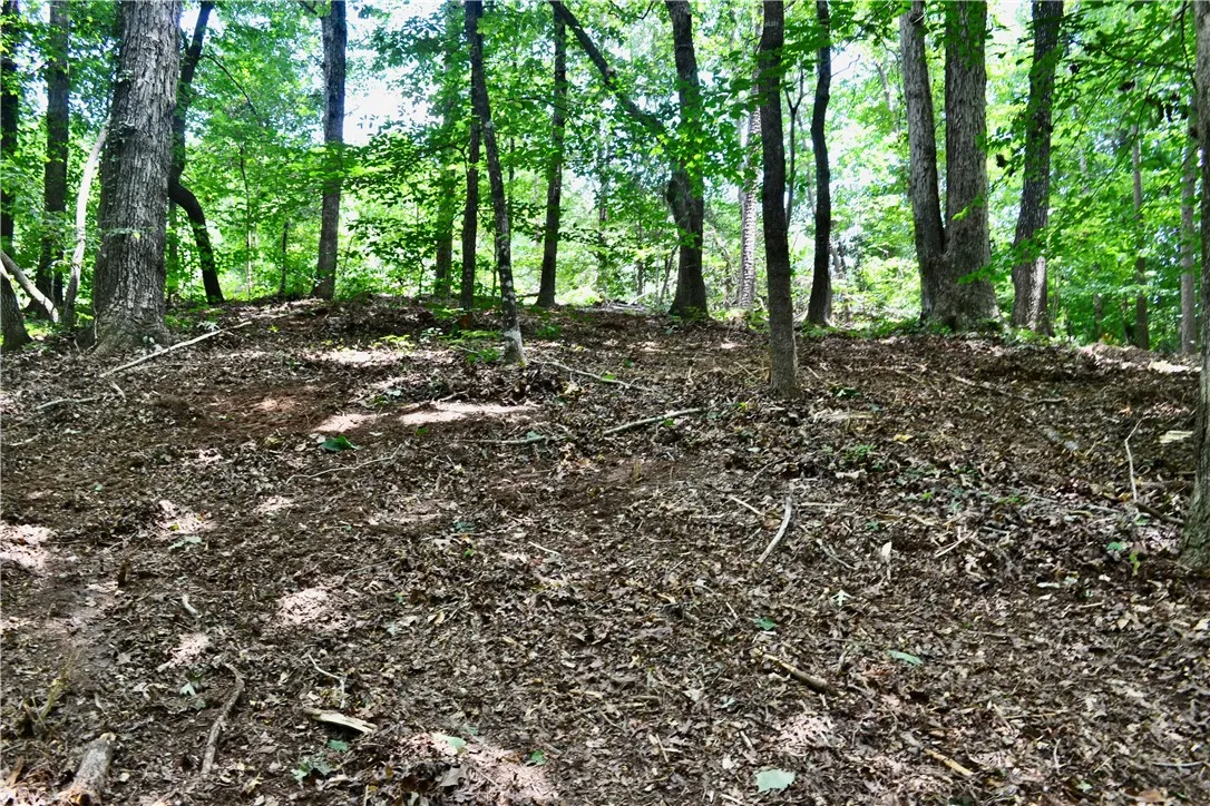 000 Cane Creek Drive