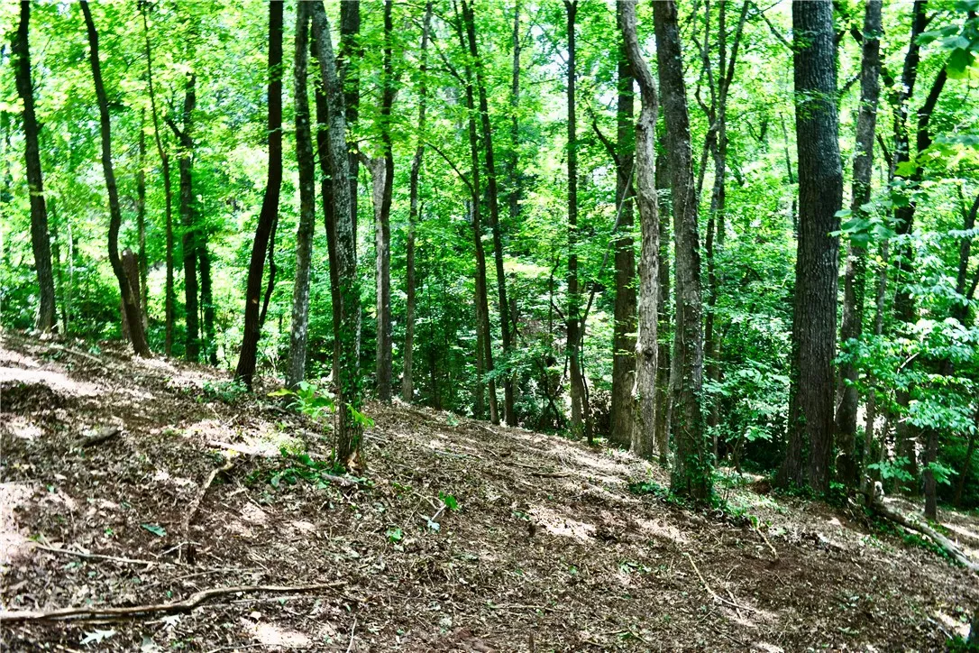 Property image 2 at 000 Cane Creek Drive, Seneca, SC 29672