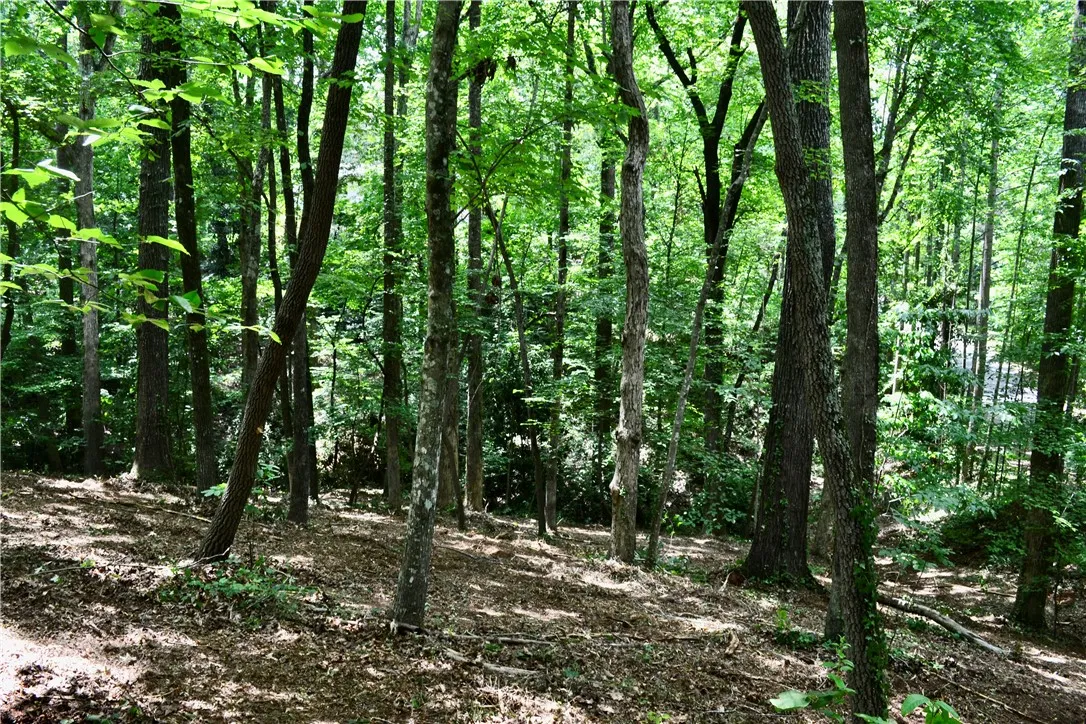 Property image 3 at 000 Cane Creek Drive, Seneca, SC 29672