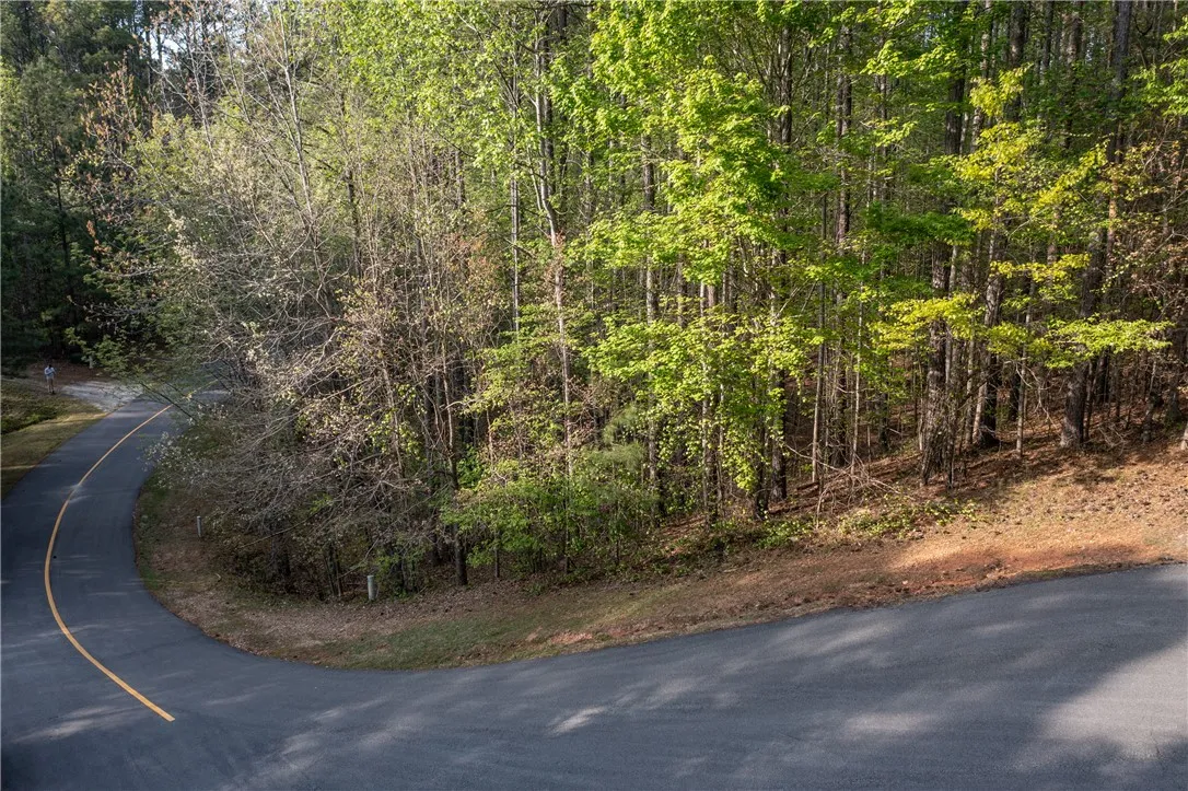 Property image 3 at Lot E 19 Golden Bear Drive, Sunset, SC 29685