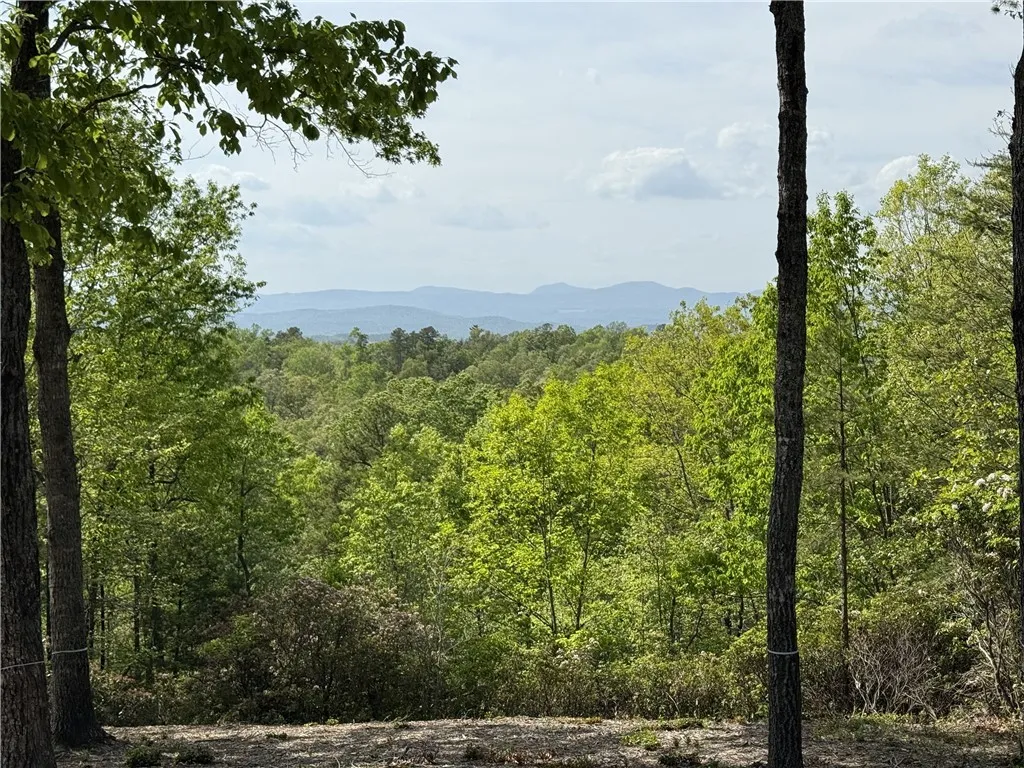 Property image 2 at 105 Parkview Lane, Sunset, SC 29685