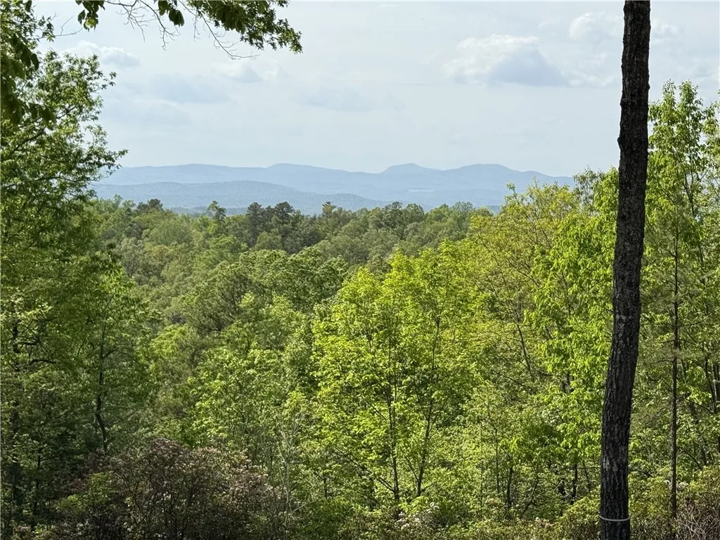 Property image 4 at 105 Parkview Lane, Sunset, SC 29685