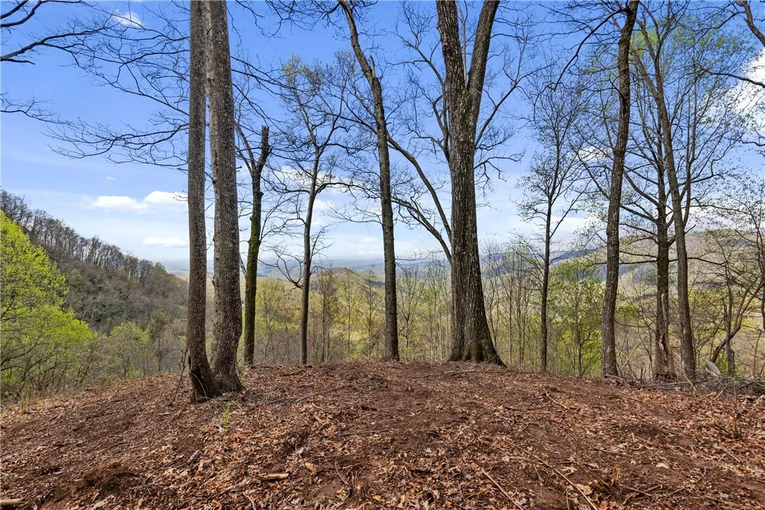 Property image 2 at 21 High Laurel Way, Travelers Rest, SC 29690