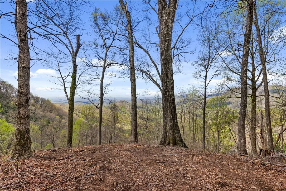 Property image 3 at 21 High Laurel Way, Travelers Rest, SC 29690