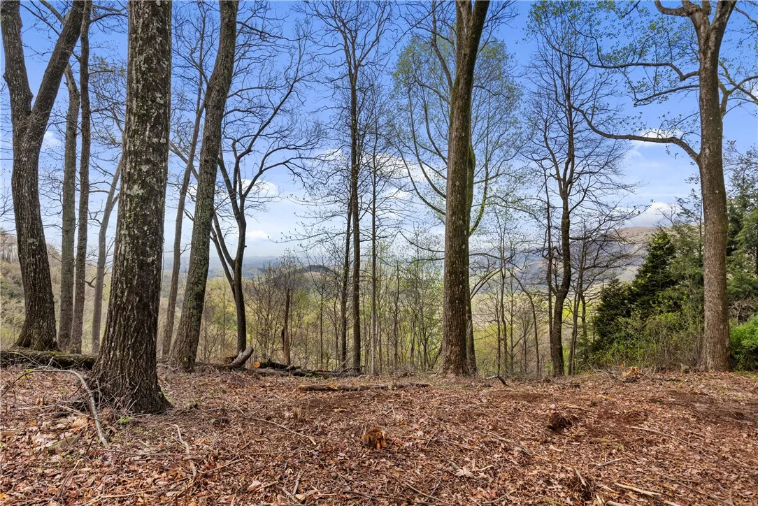 Property image 5 at 21 High Laurel Way, Travelers Rest, SC 29690