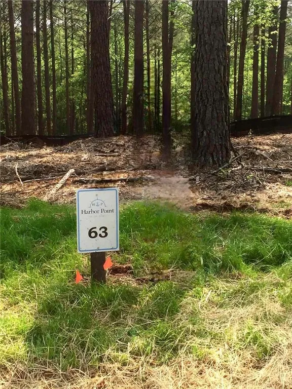 Property image 2 at Lot 63 Harbor Point Road, Seneca, SC 29672