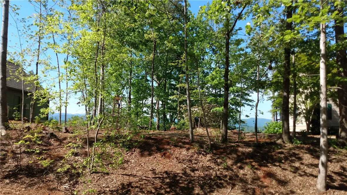 Property image 3 at 237 Bay View Drive, Salem, SC 29676