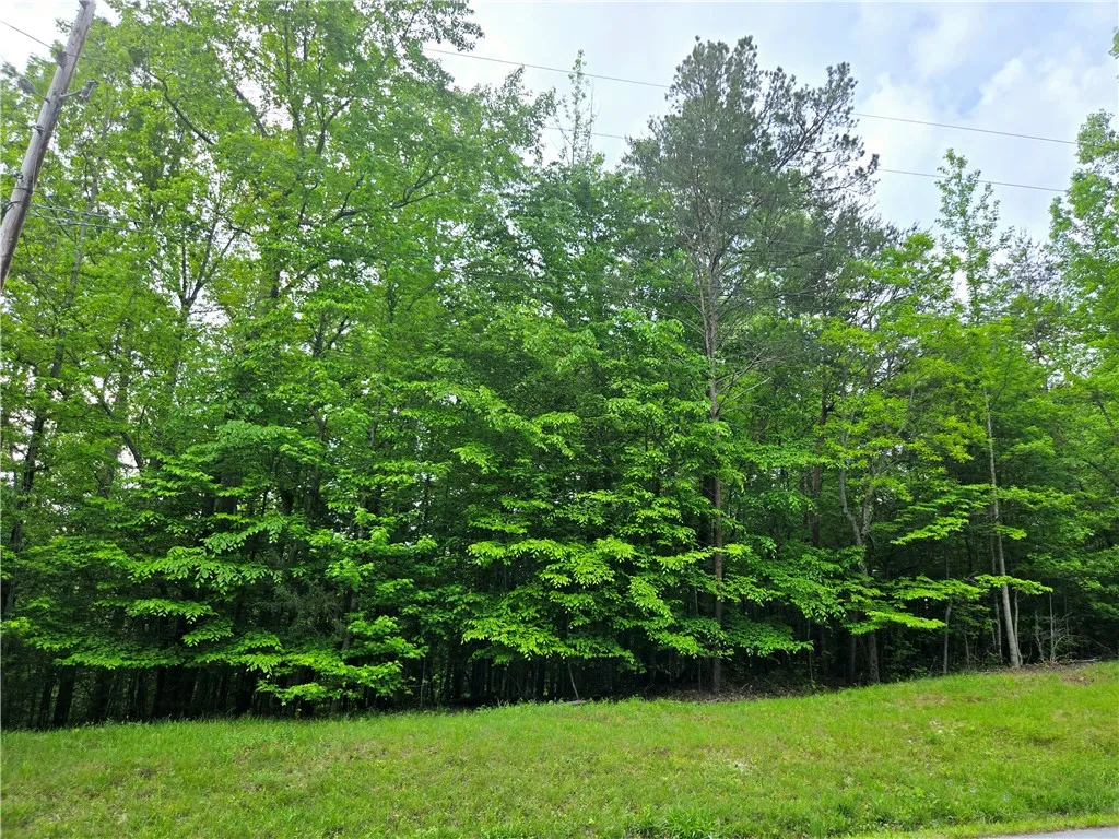 Property image 3 at Lot 435 Point Road, Westminster, SC 29693