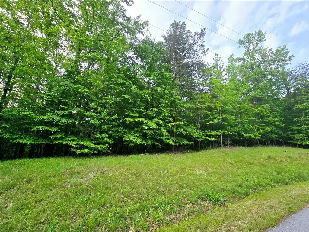 Property image 4 at Lot 435 Point Road, Westminster, SC 29693