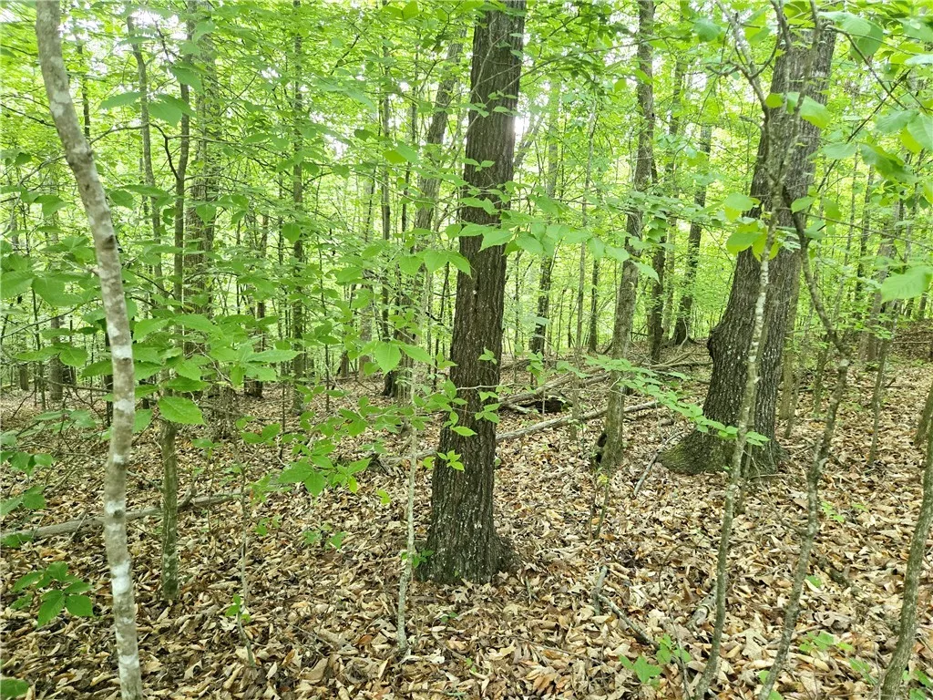 Property image 5 at Lot 435 Point Road, Westminster, SC 29693