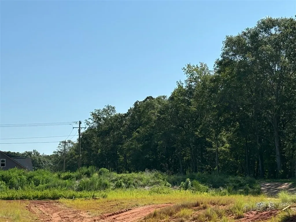 Property image 4 at 927 Flat Rock Road, Anderson, SC 29624