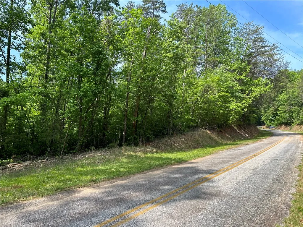 Property image 1 at Lot 10 Blackjack Cove Road, Westminster, SC 29693