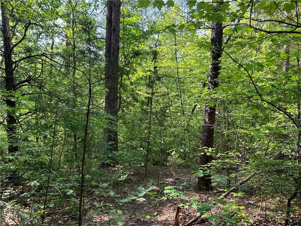 Property image 3 at Lot 10 Blackjack Cove Road, Westminster, SC 29693