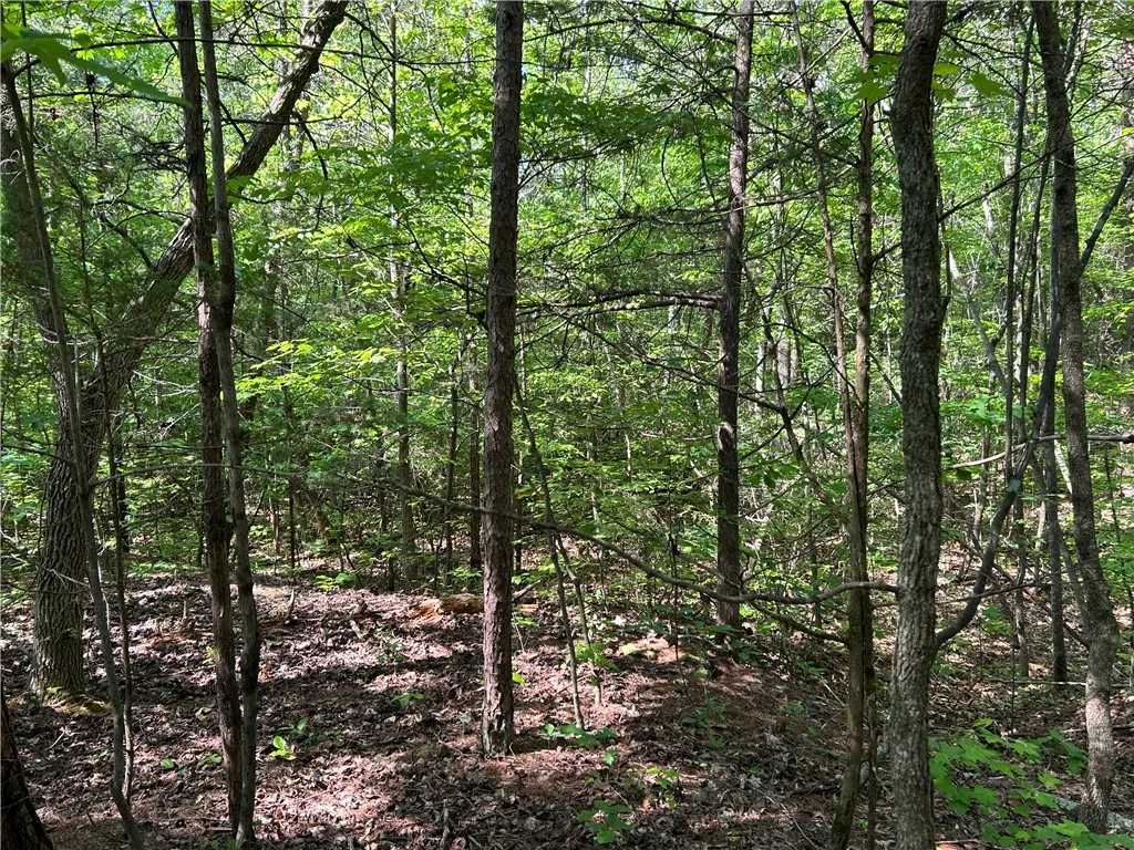 Property image 4 at Lot 10 Blackjack Cove Road, Westminster, SC 29693