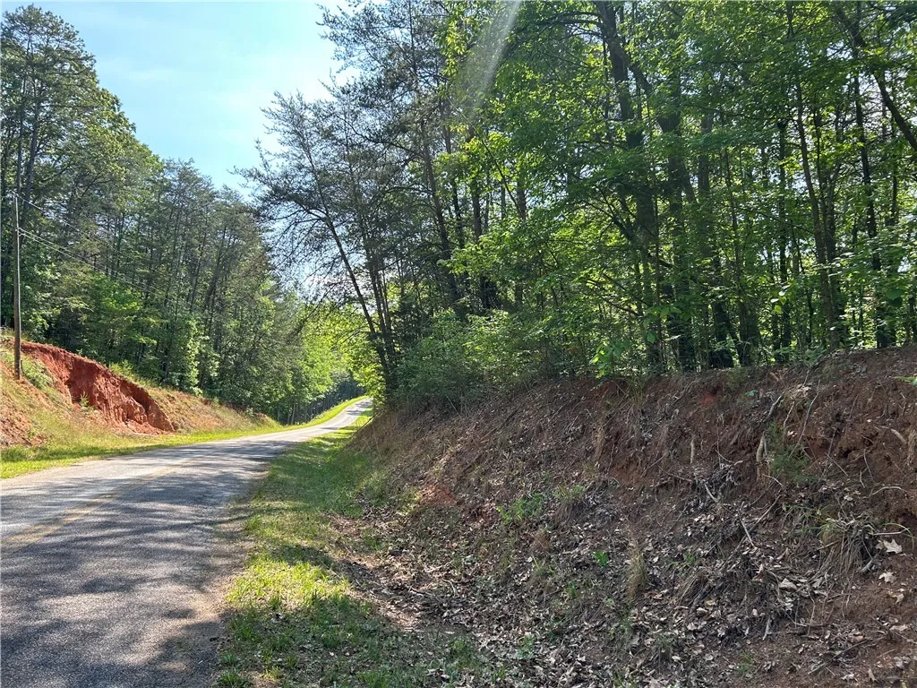 Property image 5 at Lot 10 Blackjack Cove Road, Westminster, SC 29693