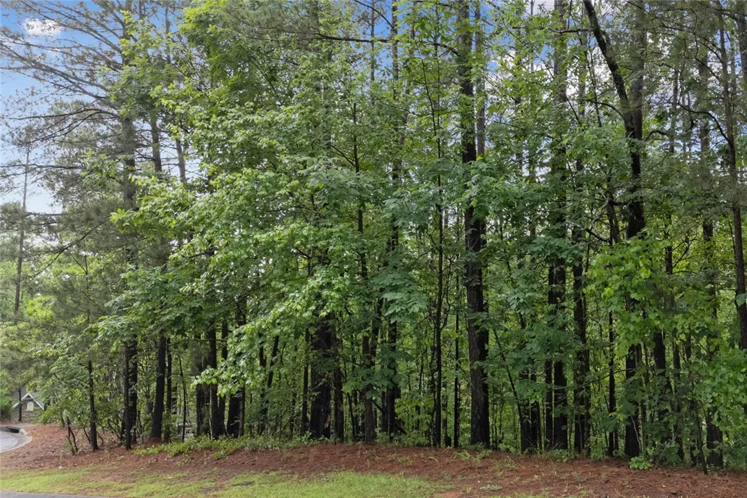 Property image 2 at Lot 29 Waterford W Rockcliff Court, Seneca, SC 29678